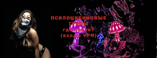 таблы Дмитровск