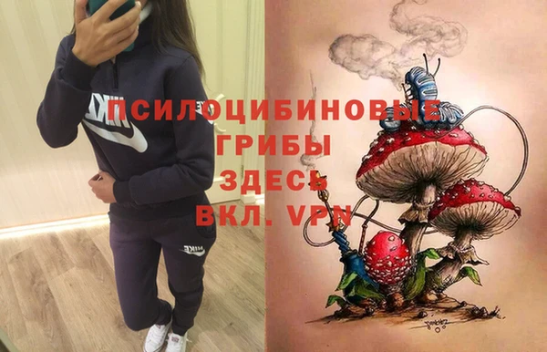 соль курить ск Дмитриев