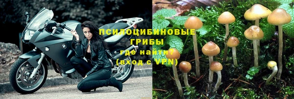 таблы Дмитровск