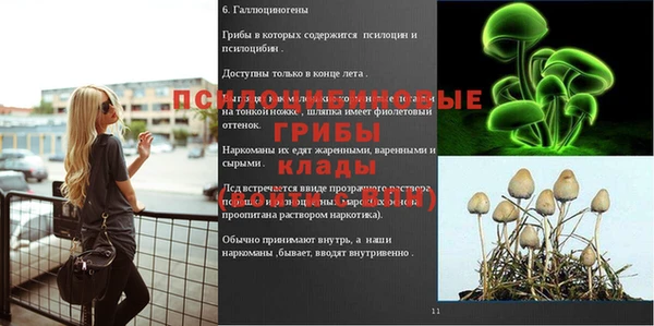 таблы Дмитровск